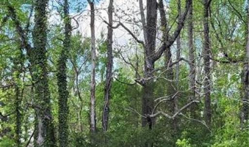 Photo #31 of 1642 R2 Kersey Valley, Archdale, NC 1.8 acres