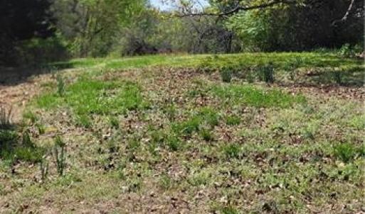Photo #12 of 1644 Kersey Valley, Archdale, NC 1.1 acres