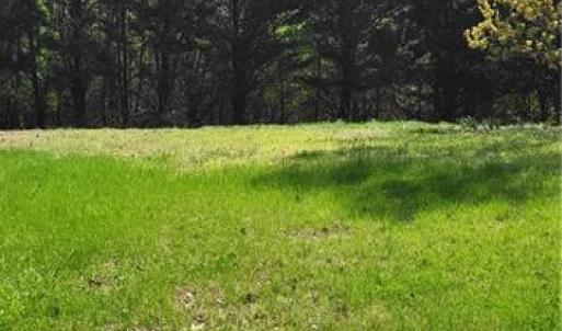 Photo #10 of 1644 Kersey Valley, Archdale, NC 1.1 acres