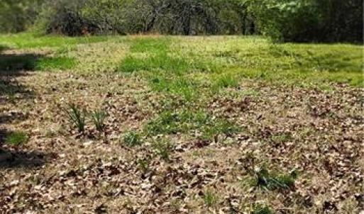 Photo #14 of 1644 Kersey Valley, Archdale, NC 1.1 acres