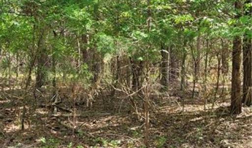 Photo #6 of 1648 R2 & R3 Kersey Valley, Archdale, NC 0.9 acres
