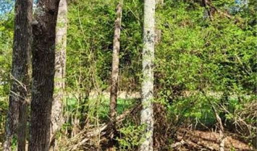 Photo #13 of 1648 R2 & R3 Kersey Valley, Archdale, NC 0.9 acres