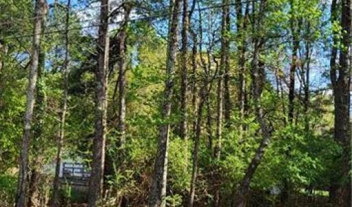Photo #12 of 1648 R2 & R3 Kersey Valley, Archdale, NC 0.9 acres