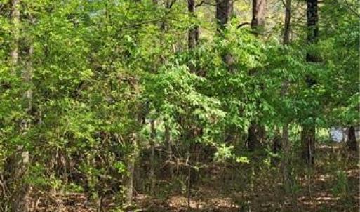 Photo #9 of 1648 R2 & R3 Kersey Valley, Archdale, NC 0.9 acres