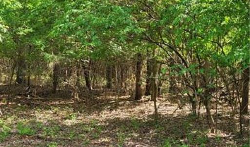 Photo #7 of 1648 R2 & R3 Kersey Valley, Archdale, NC 0.9 acres