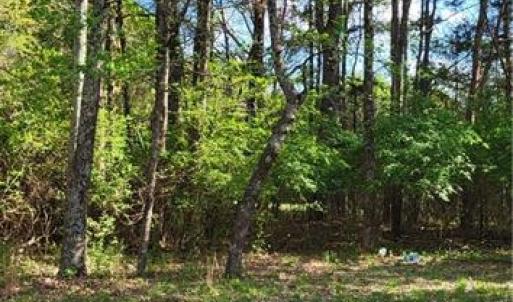 Photo #14 of 1648 R2 & R3 Kersey Valley, Archdale, NC 0.9 acres