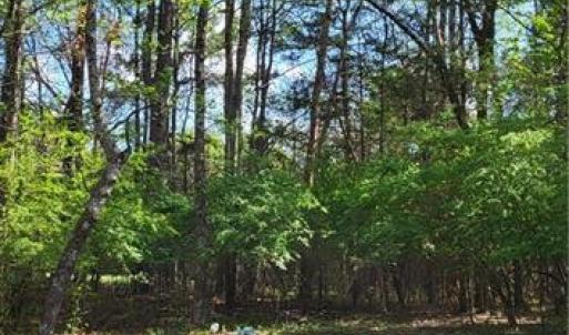 Photo #15 of 1648 R2 & R3 Kersey Valley, Archdale, NC 0.9 acres