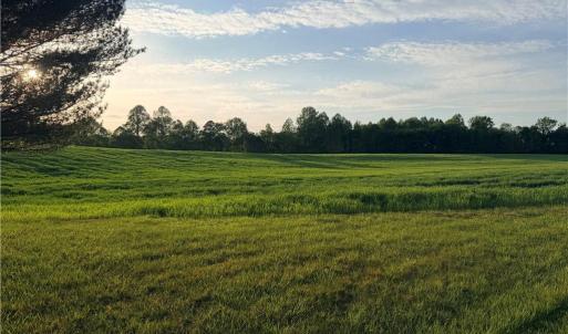 Photo #2 of Powell, Woodleaf, NC 20.3 acres