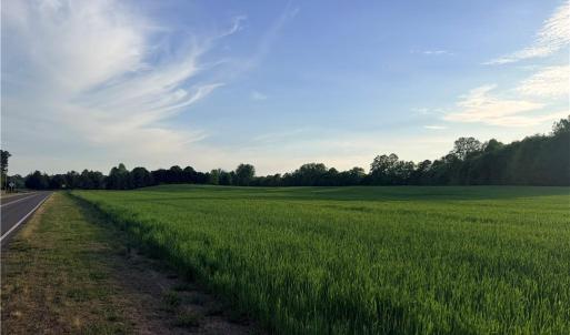 Photo #7 of Powell, Woodleaf, NC 20.3 acres