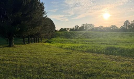 Photo #3 of Powell, Woodleaf, NC 20.3 acres