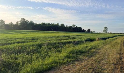 Photo #4 of Powell, Woodleaf, NC 20.3 acres