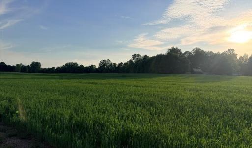 Photo #8 of Powell, Woodleaf, NC 20.3 acres