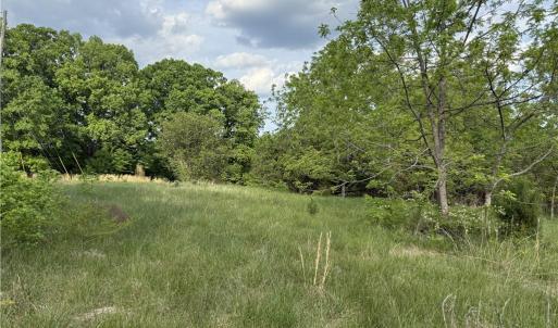 Photo #6 of 2690 Old Mountain, Trinity, NC 32.7 acres