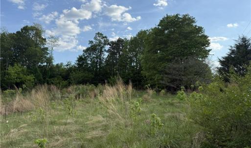 Photo #7 of 2690 Old Mountain, Trinity, NC 32.7 acres