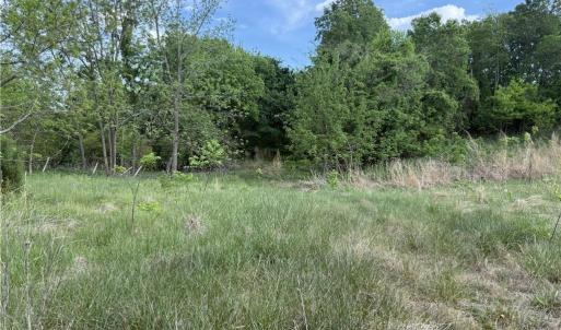Photo #5 of 2690 Old Mountain, Trinity, NC 32.7 acres