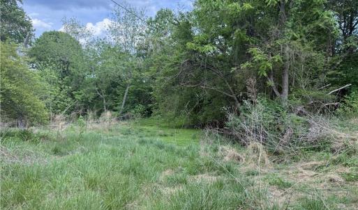 Photo #9 of 2690 Old Mountain, Trinity, NC 32.7 acres