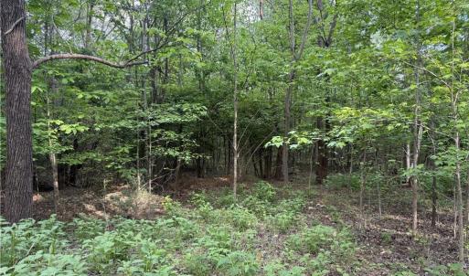 Photo #10 of 2690 Old Mountain, Trinity, NC 32.7 acres