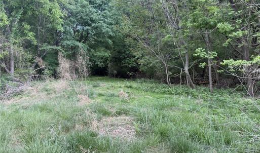 Photo #8 of 2690 Old Mountain, Trinity, NC 32.7 acres