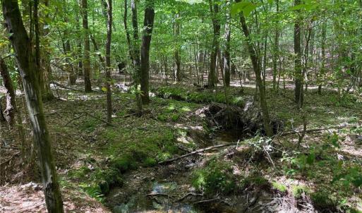 Photo #6 of Lot 6 Thompson, Seagrove, NC 11.5 acres