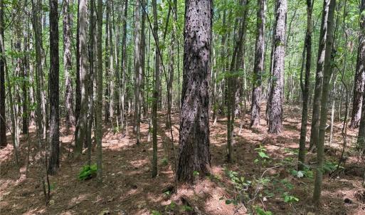 Photo #7 of Lot 6 Thompson, Seagrove, NC 11.5 acres