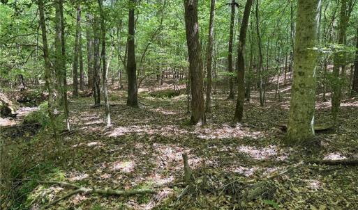 Photo #3 of Lot 6 Thompson, Seagrove, NC 11.5 acres