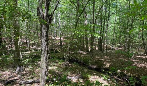 Photo #5 of Lot 6 Thompson, Seagrove, NC 11.5 acres