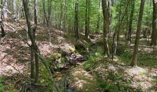 Photo #4 of Lot 6 Thompson, Seagrove, NC 11.5 acres