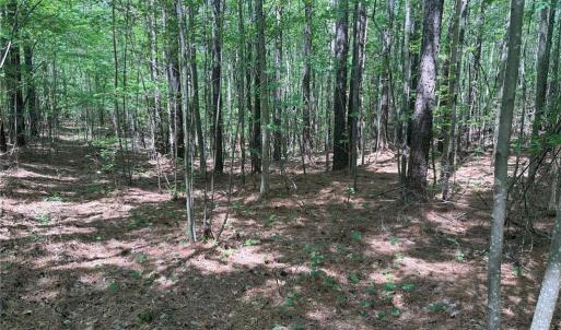 Photo #8 of Lot 6 Thompson, Seagrove, NC 11.5 acres