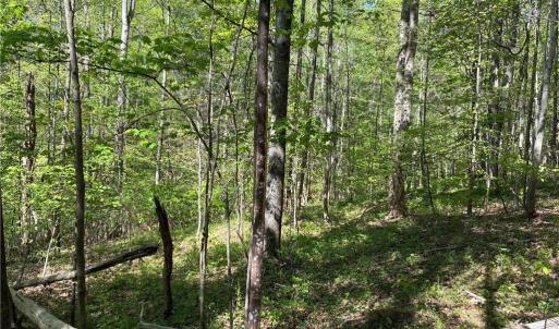 Photo #23 of Tom Mix, Westfield, NC 9.9 acres
