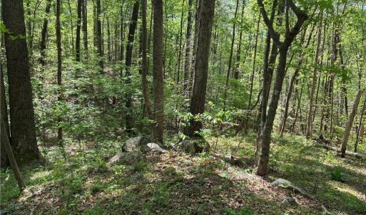 Photo #27 of Tom Mix, Westfield, NC 9.9 acres