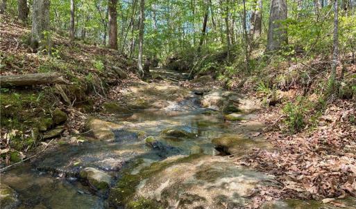 Photo #13 of Tom Mix, Westfield, NC 9.9 acres