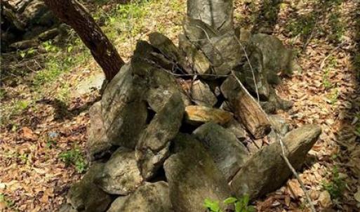 Photo #17 of Tom Mix, Westfield, NC 9.9 acres