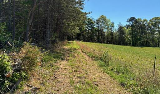 Photo #7 of Tom Mix, Westfield, NC 9.9 acres