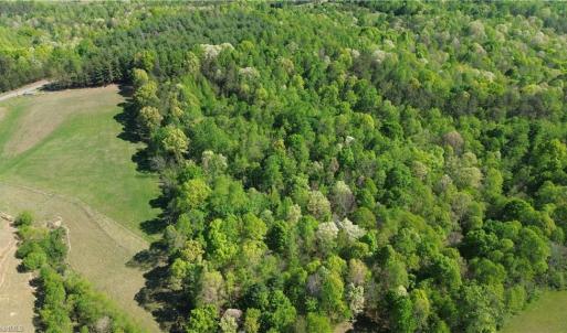 Photo #3 of Tom Mix, Westfield, NC 9.9 acres