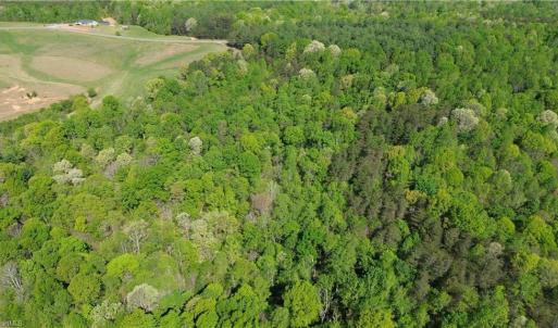 Photo #5 of Tom Mix, Westfield, NC 9.9 acres