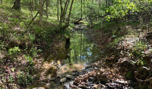 Photo #20 of Tom Mix, Westfield, NC 9.9 acres