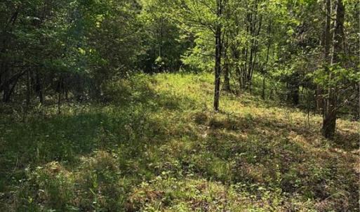 Photo #9 of Tom Mix, Westfield, NC 9.9 acres