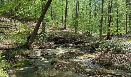 Photo #14 of Tom Mix, Westfield, NC 9.9 acres