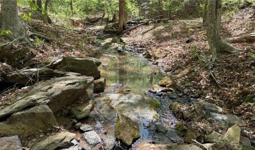 Photo #15 of Tom Mix, Westfield, NC 9.9 acres