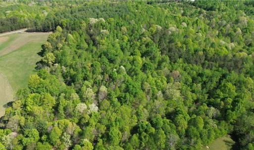 Photo #4 of Tom Mix, Westfield, NC 9.9 acres
