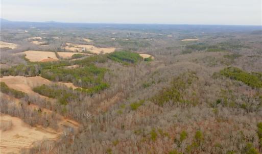 Photo #27 of 3311 NC Highway 66, Westfield, NC 62.3 acres