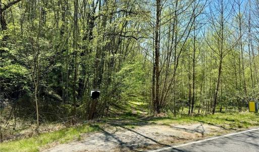 Photo #2 of 3311 NC Highway 66, Westfield, NC 62.3 acres