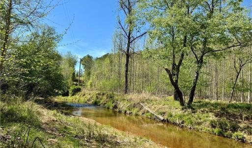 Photo #5 of 3311 NC Highway 66, Westfield, NC 62.3 acres