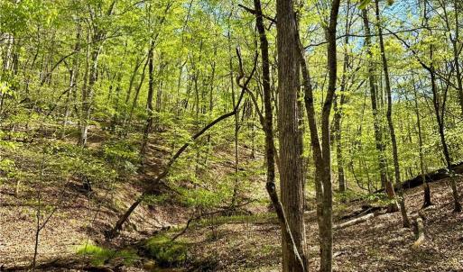 Photo #9 of 3311 NC Highway 66, Westfield, NC 62.3 acres