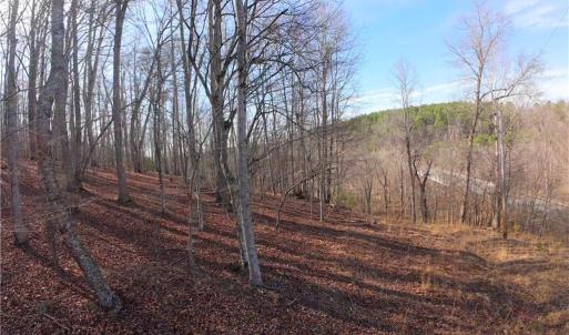 Photo #31 of 3311 NC Highway 66, Westfield, NC 62.3 acres