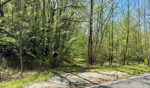 Photo #2 of 3311 NC Highway 66, Westfield, NC 62.3 acres