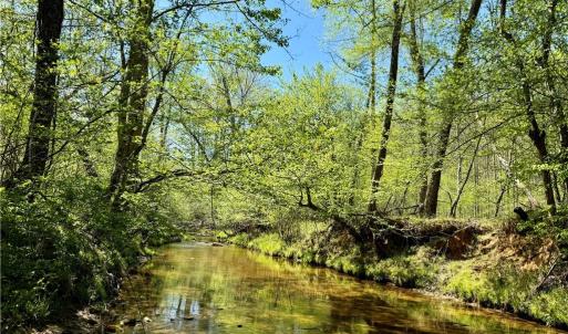 Photo #6 of 3311 NC Highway 66, Westfield, NC 62.3 acres