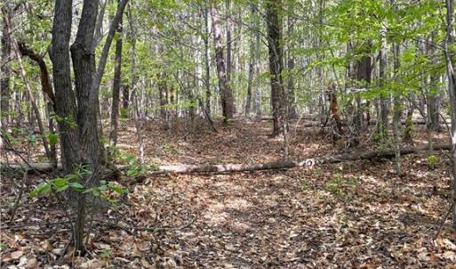 Photo #27 of 521 Matrimony, Eden, NC 30.4 acres