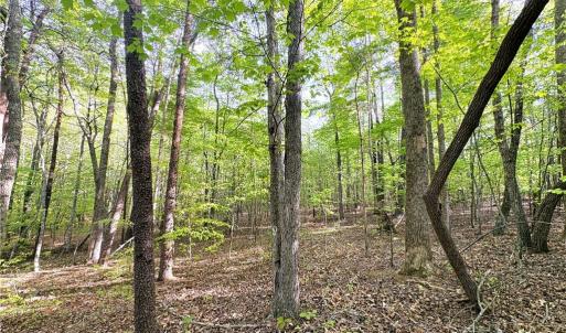 Photo #17 of 521 Matrimony, Eden, NC 30.4 acres