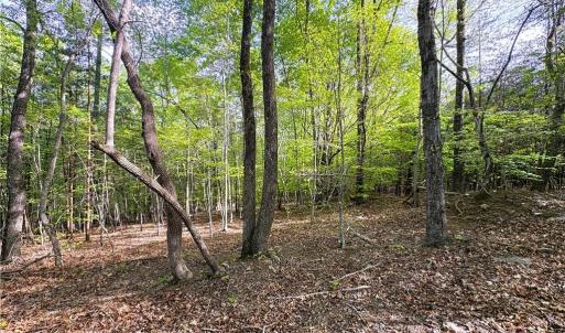 Photo #16 of 521 Matrimony, Eden, NC 30.4 acres